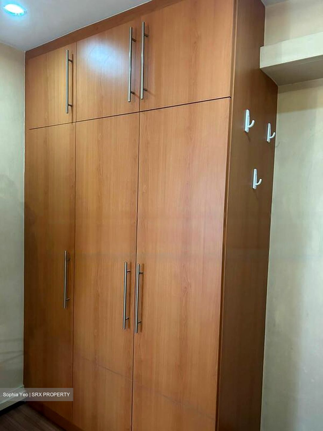 Blk 262C Compassvale Street (Sengkang), HDB Executive #463040211